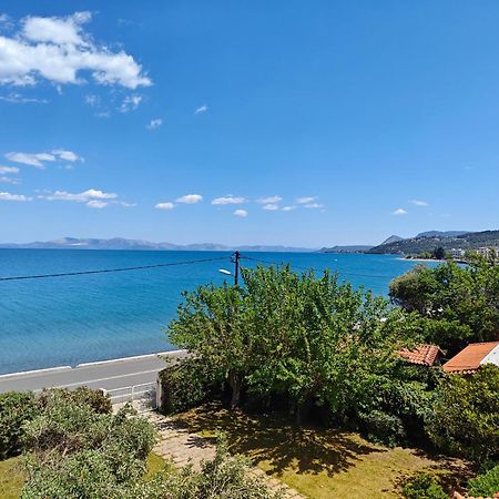 Thanos' Seaside Apartment Oropos Buitenkant foto